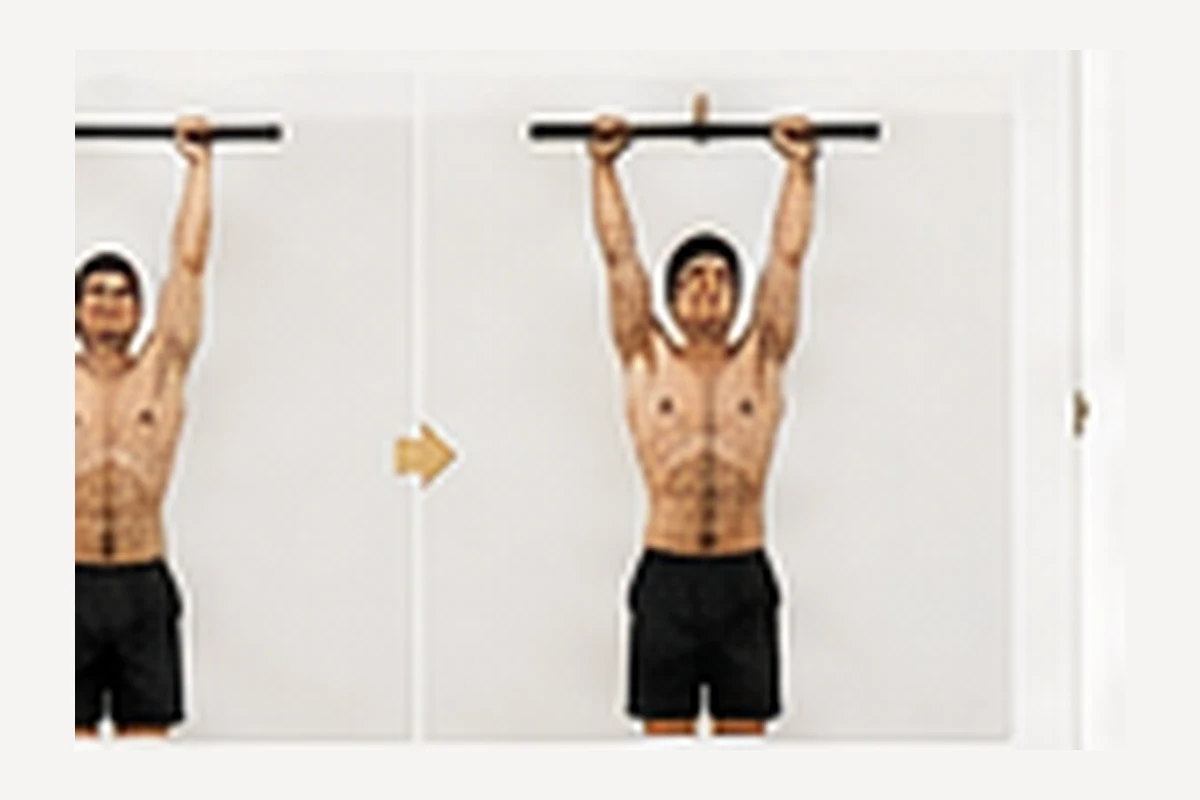 Ilustración de calistenia: Scapular pull-up