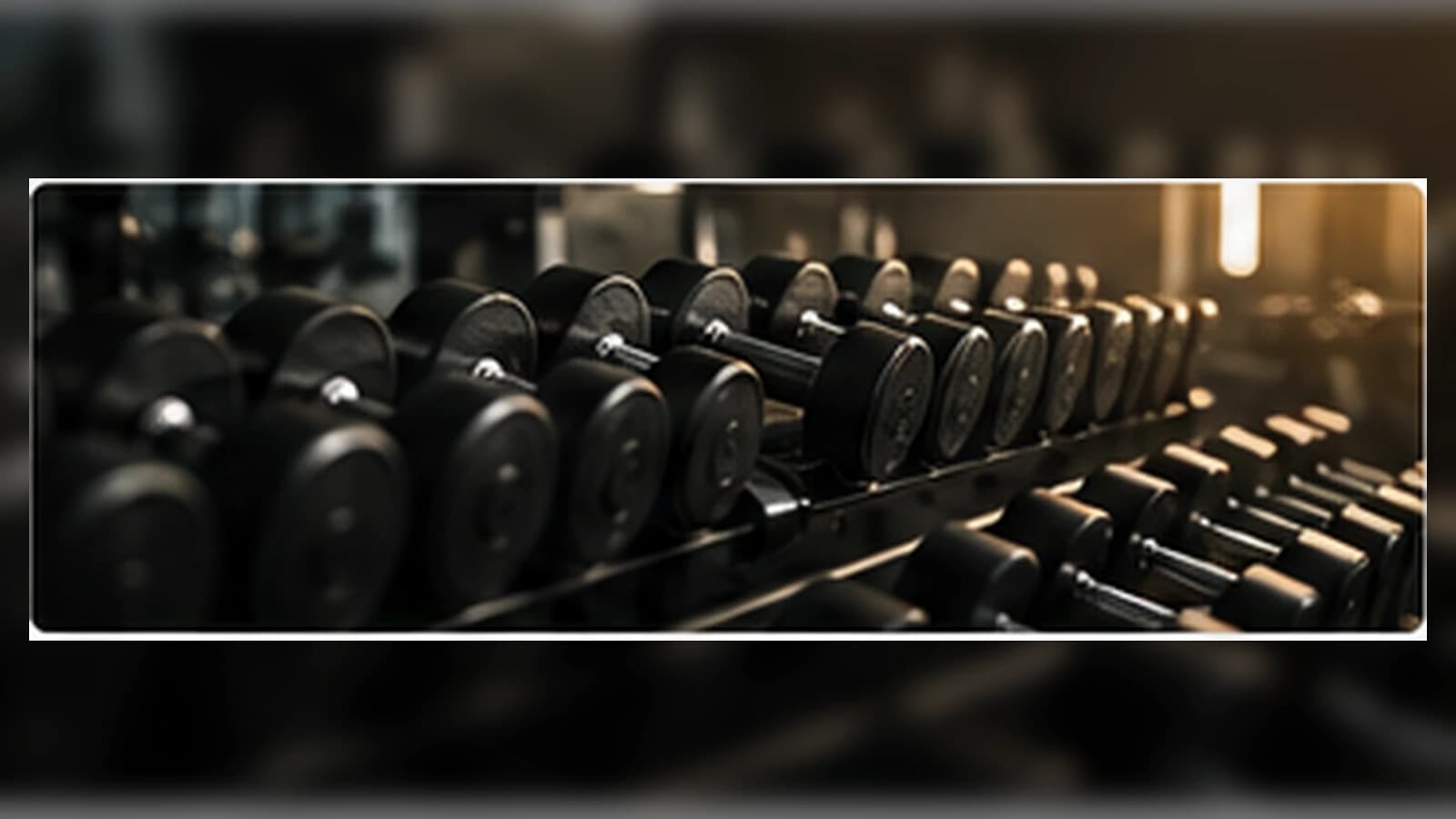 Gym: imagen 2